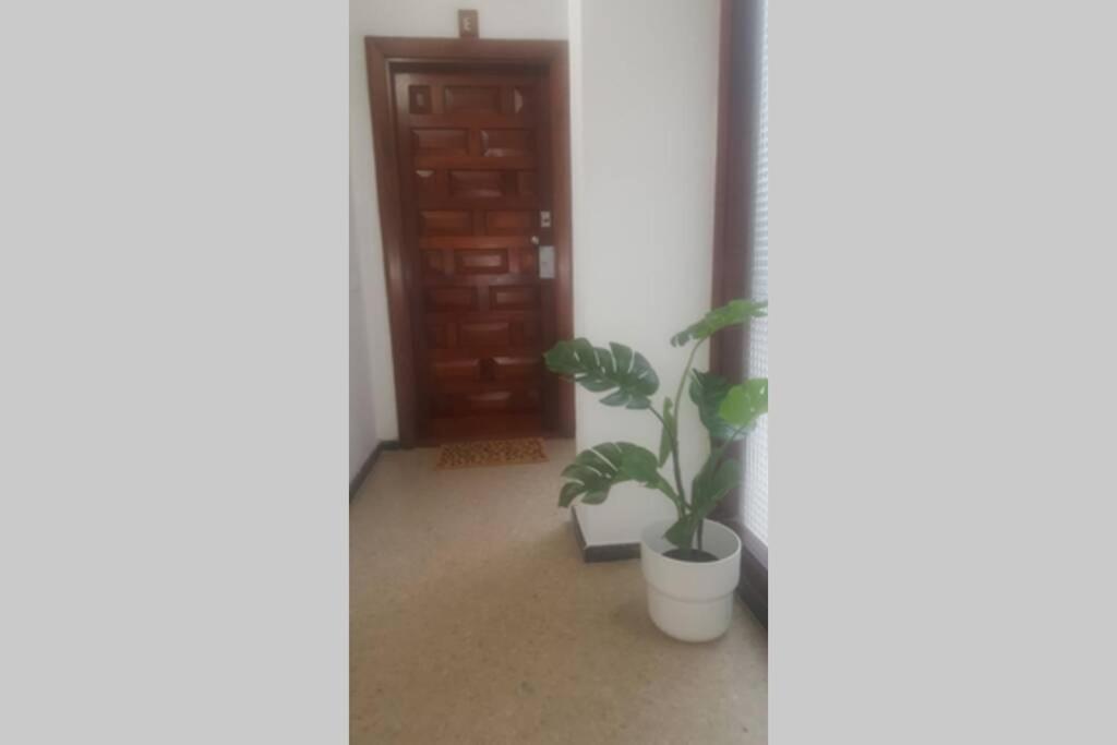 Apartamento Victoria 51. Las Palmas de Gran Canaria Exterior foto